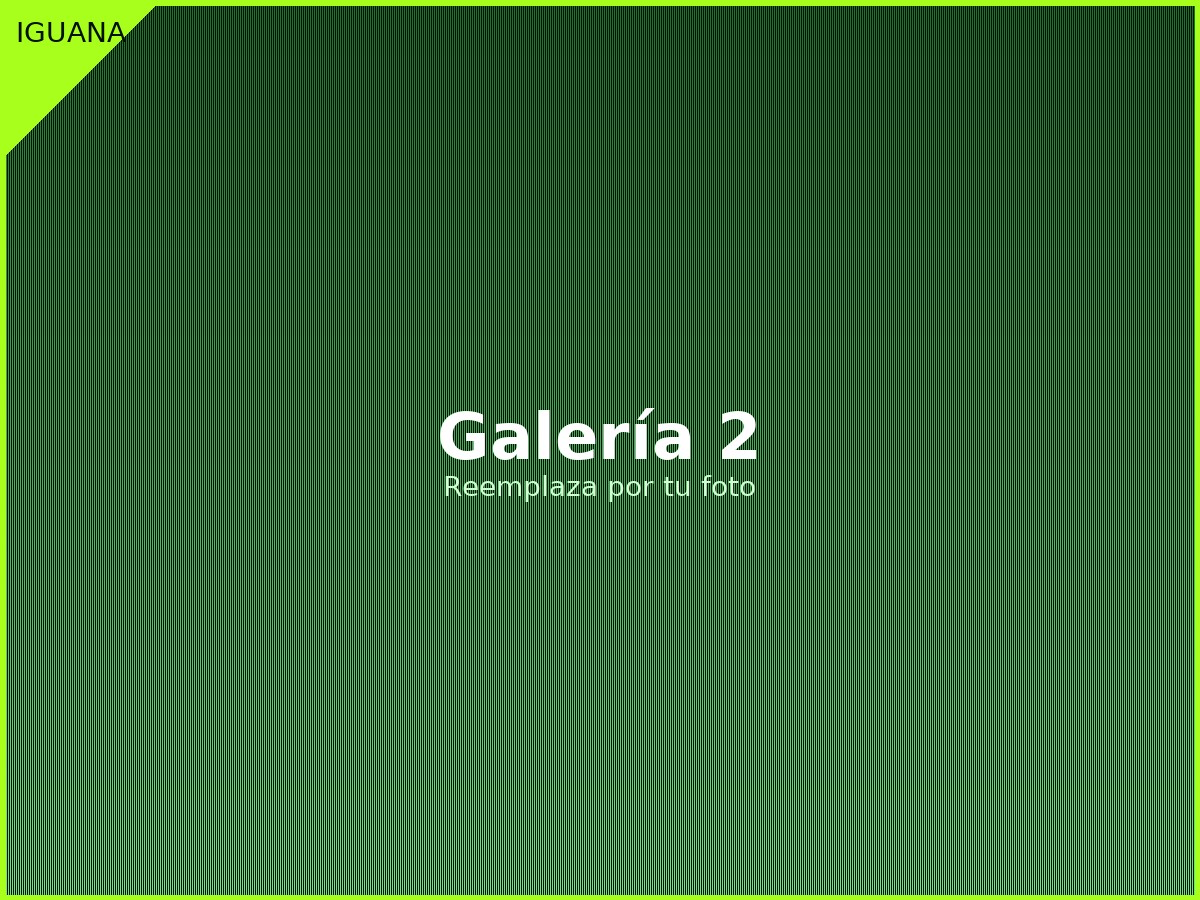 Publicidad